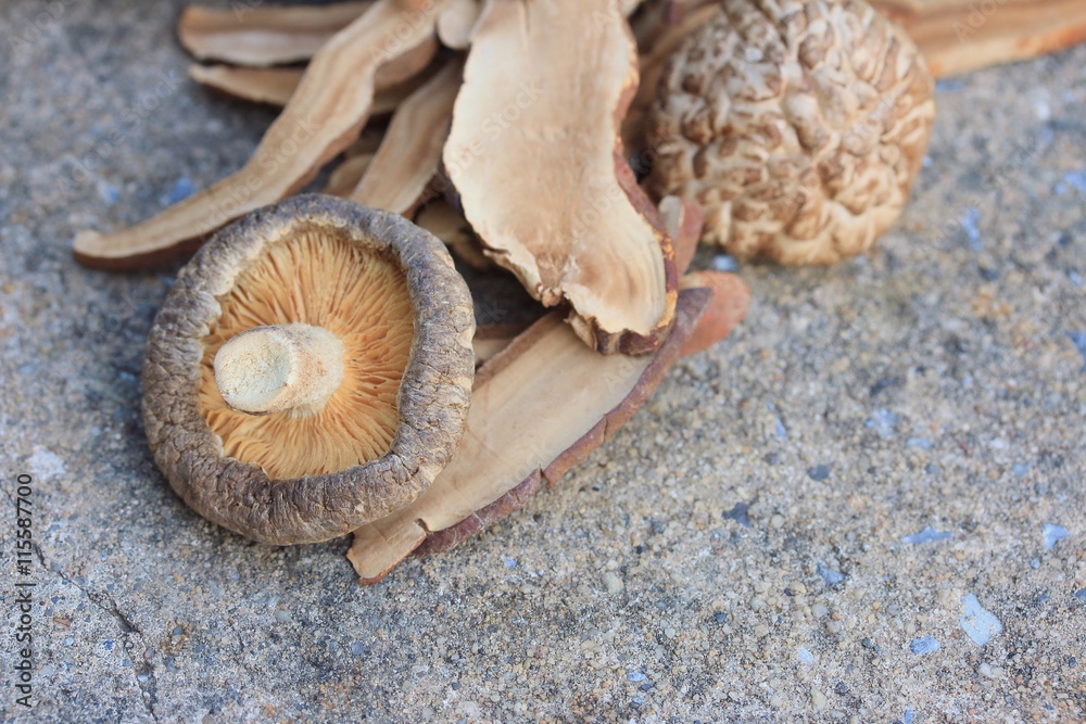Ganoderma lucidum Ganoderma lucidum