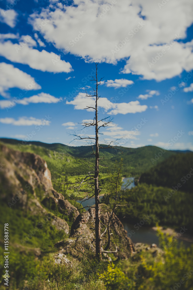Obraz premium hiking trail