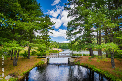 Bridge and pine trees at Bear Brook State Park, New Hampshire. © jonbilous