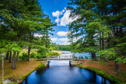 Bridge and pine trees at Bear Brook State Park, New Hampshire. photo