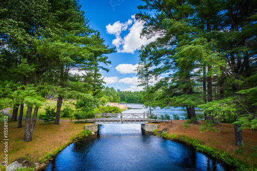 Obraz na płótnie Bridge and pine trees at Bear Brook State Park, New Hampshire. w salonie