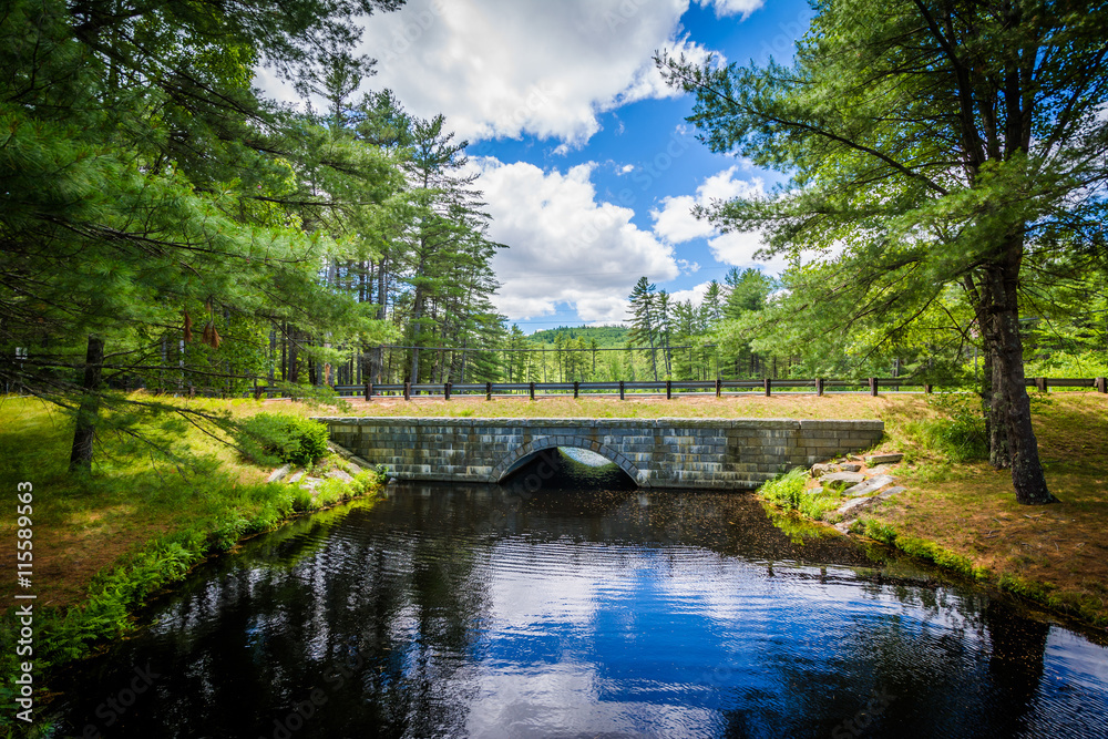 Fototapeta premium Bridge over a pond at Bear Brook State Park, New Hampshire.