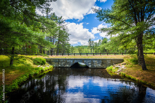 Bridge over a pond at Bear Brook State Park, New Hampshire. photo