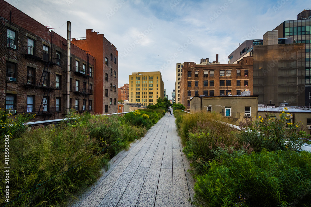 Buildings and walkway on The High Line, in Chelsea, Manhattan, N