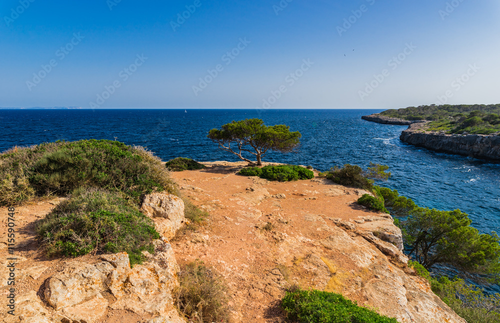 Bucht von Cala Pi Mallorca Spanien Mittelmeer Küste Bucht von Cala Pi Mallorca Spanien Mittelmeer Küste