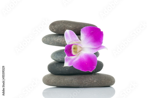 Orchid and spa-stones on white background