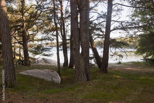 Finland, Turku archipleago, Forest trees by lake photo