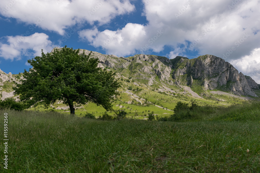 Mountain landscape, Piatra Secuiului in Transilvania, Romania