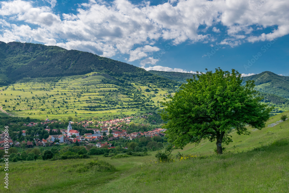 Obraz premium Traditional mountain village at the base of the hill in Romania