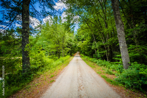 Dirt road in the forest at Bear Brook State Park, New Hampshire.