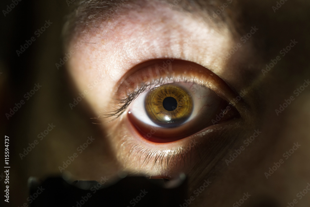 Obraz premium male eye with flashlight
