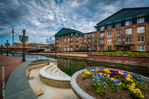 Flowers and buildings along Carroll Creek, in Frederick, Marylan