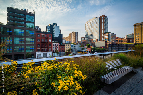 Flowers, bench, and view of buildings in Chelsea from The High L photo