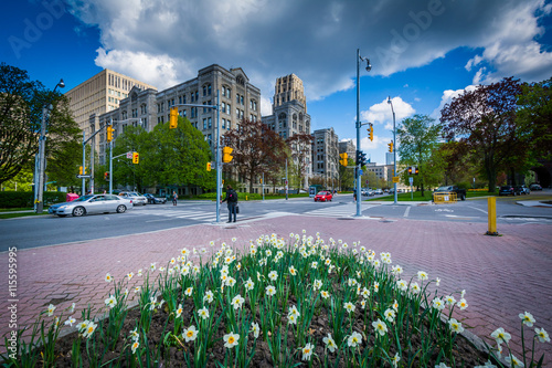 Photography Garden at Queen's Park, and the intersection of Queen's Park Cre