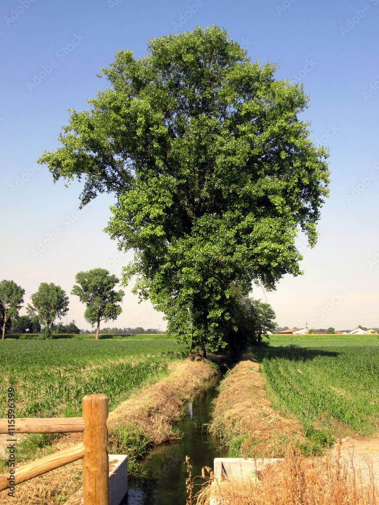 Obraz premium Lodi , in campagna