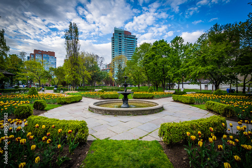 Photography Gardens at Saint James Park, in Toronto, Ontario.