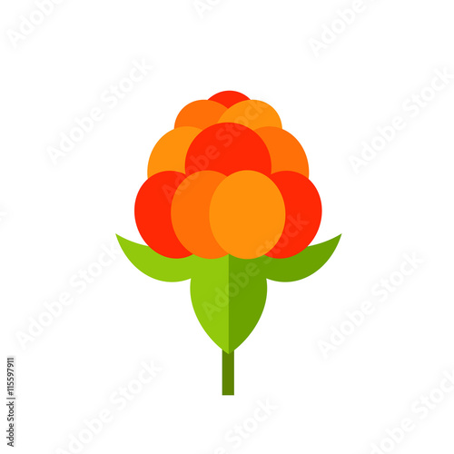 Single Cloudberry with Leaves Icon