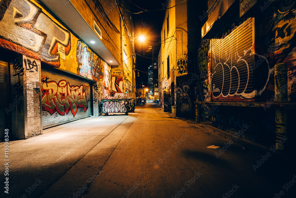 Fototapeta premium Graffiti Alley w nocy, w dzielnicy mody w Toronto, Ont