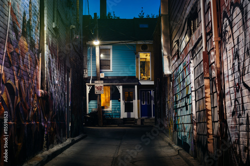 Photography Graffiti in an alley and a blue house at night in Kensington Mar