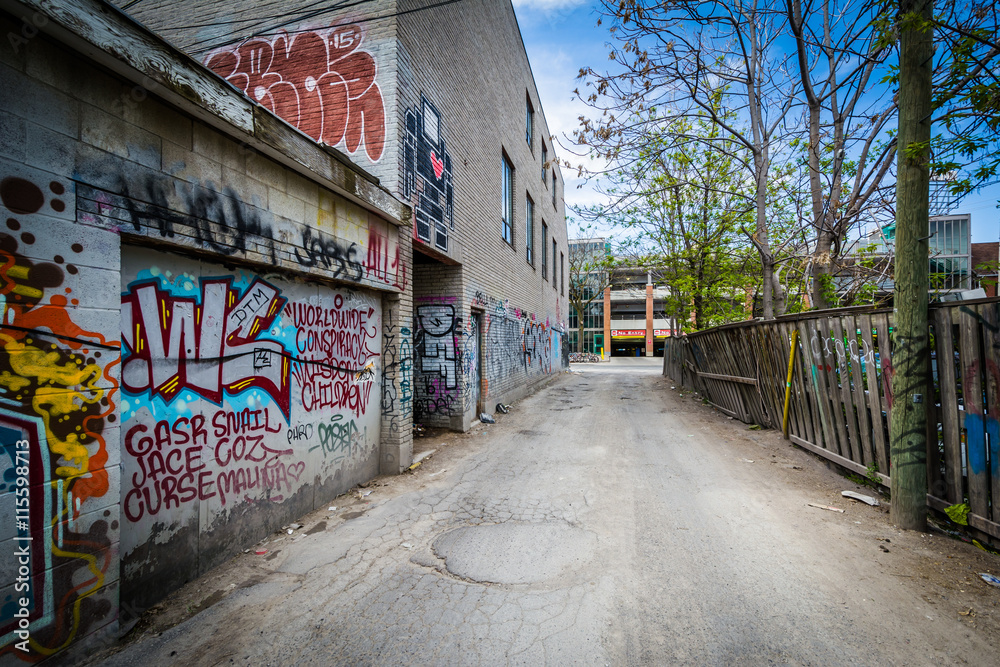 Fototapeta premium Graffiti w alejce w dzielnicy Kensington Market w To