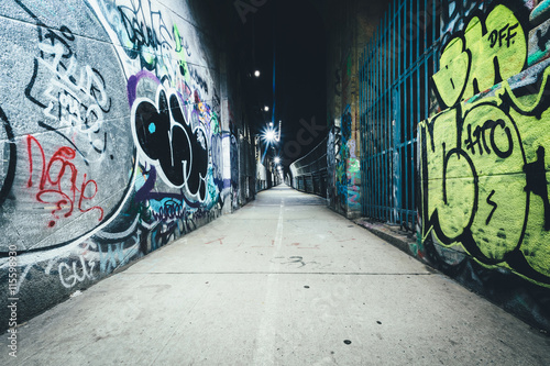 Photography Graffiti seen on the Manhattan Bridge Walkway, in the Lower East