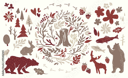 Handsketched elements of northern forest
