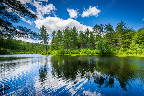 Lake at Bear Brook State Park, New Hampshire. photo