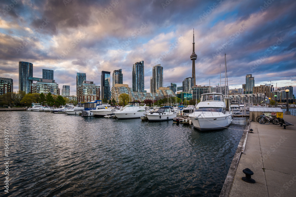 Marina and the downtown skyline at sunset, at the Harbourfront i