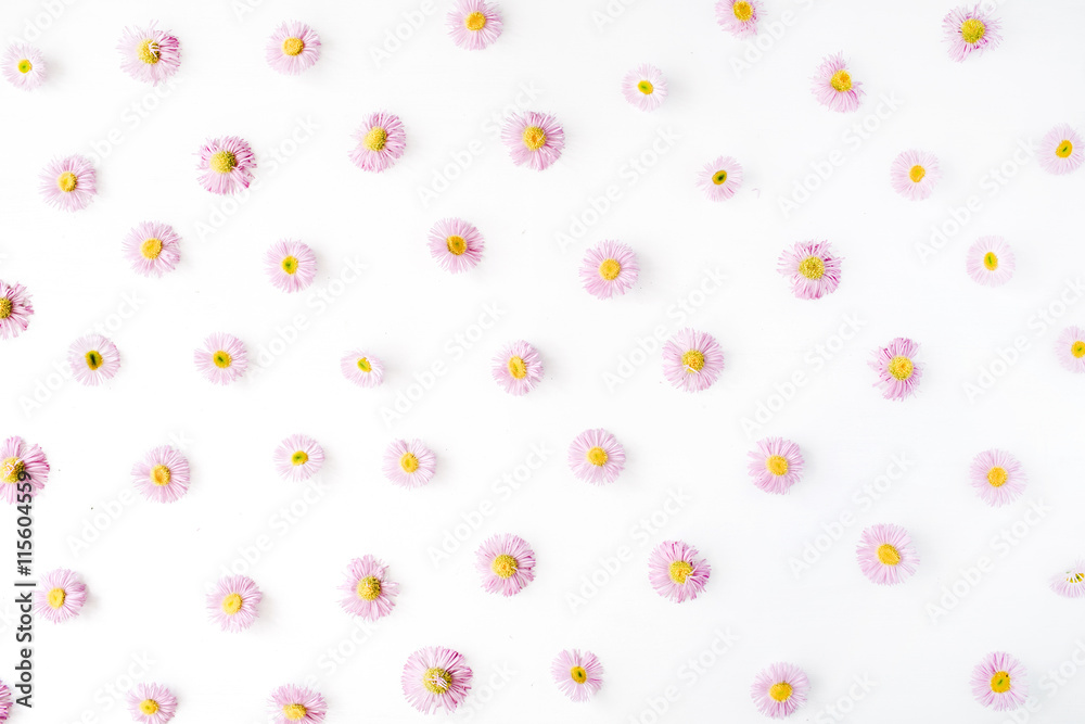 chamomile pattern on white background. flat lay, top view