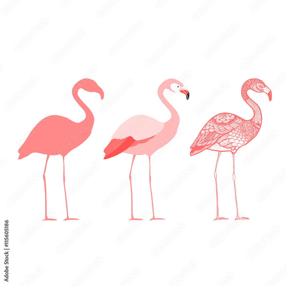Fototapeta premium Three flamingos, isolated vector illustration