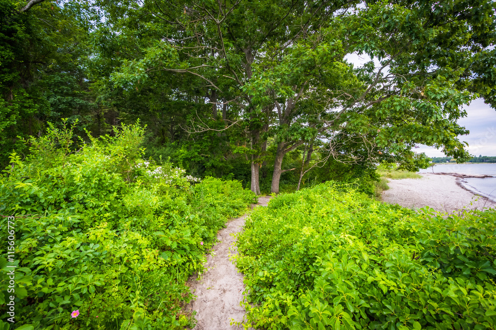Narrow trail and coast at Odiorne Point State Park, in Rye, New Narrow trail and coast at Odiorne Point State Park, in Rye, New