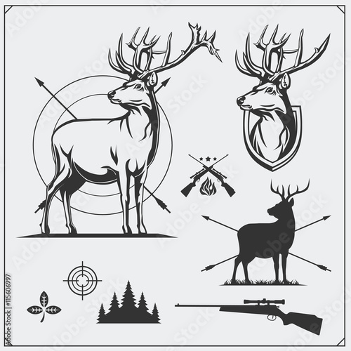 Deer hunt. Set of vintage hunting labels, badges and design elements.