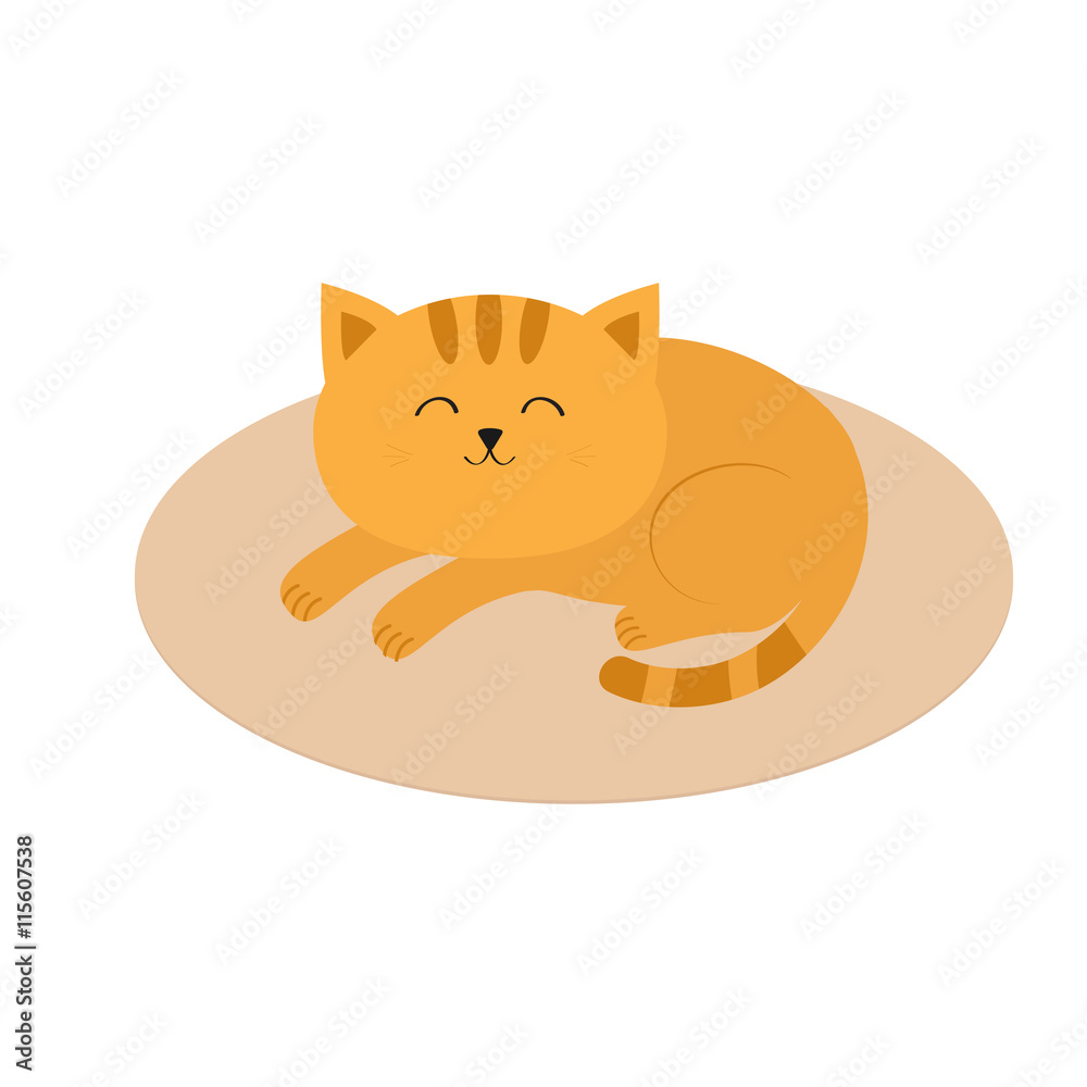Cute orange cat lying sleeping on oval carpet rug mat. Moustache whisker. Funny cartoon character. White background. Isolated. Flat design. Cute orange cat lying sleeping on oval carpet rug mat. Moustache whisker. Funny cartoon character. White background. Isolated. Flat design.