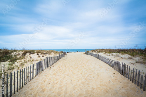 Path to the beach at Cape Henlopen State Park  in Rehoboth Beach
