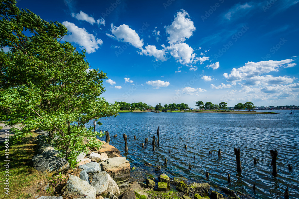 Obraz premium Pier pilings in the Seekonk River, in Providence, Rhode Island.
