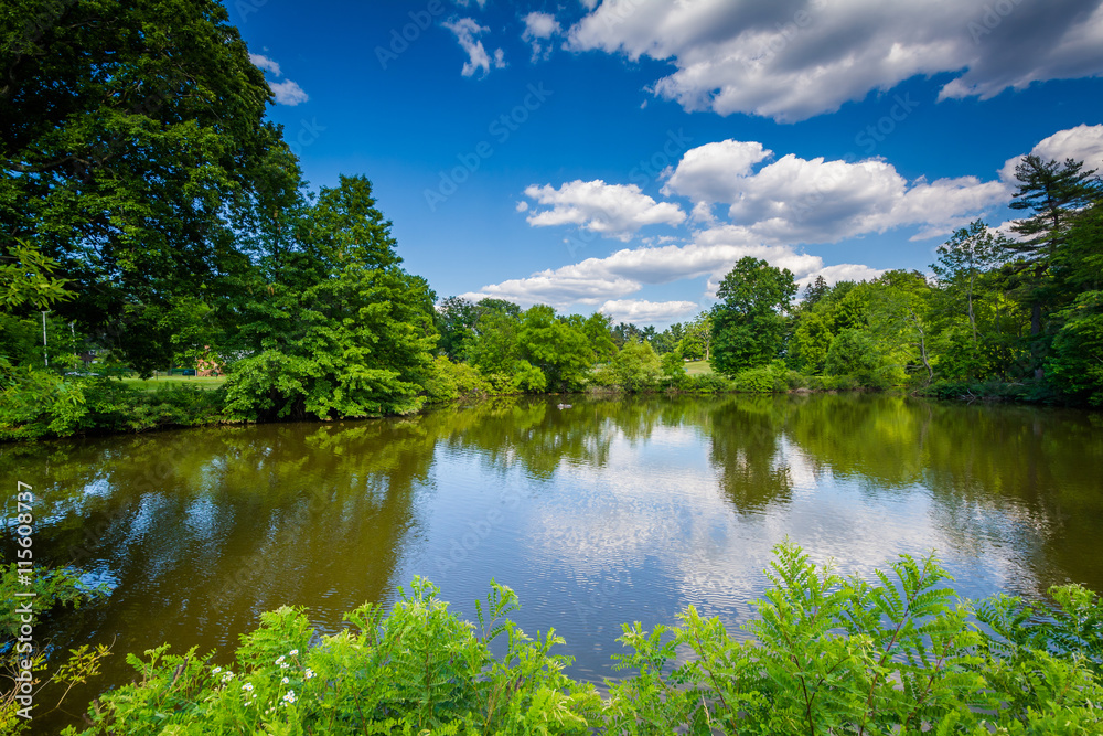 Pond at Elizabeth Park, in Hartford, Connecticut. Pond at Elizabeth Park, in Hartford, Connecticut.