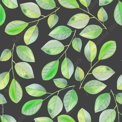 Seamless pattern with the watercolor branches with green leaves, hand painted isolated on a dark background