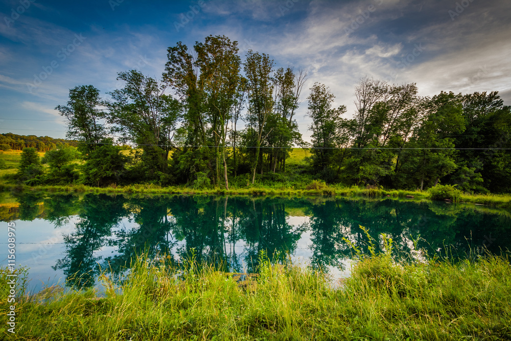 Fototapeta premium Pond on a farm, near Jefferson in rural York County, Pennsylvani