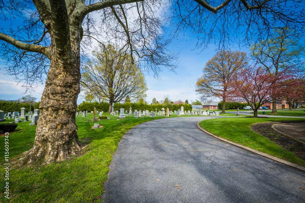 Road at Mount Olivet Cemetery in Frederick, Maryland.