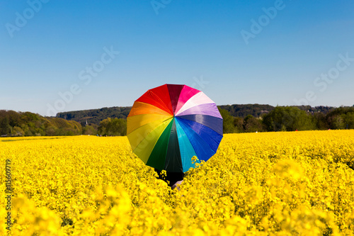 bunter Regenschirm im Rapsfeld