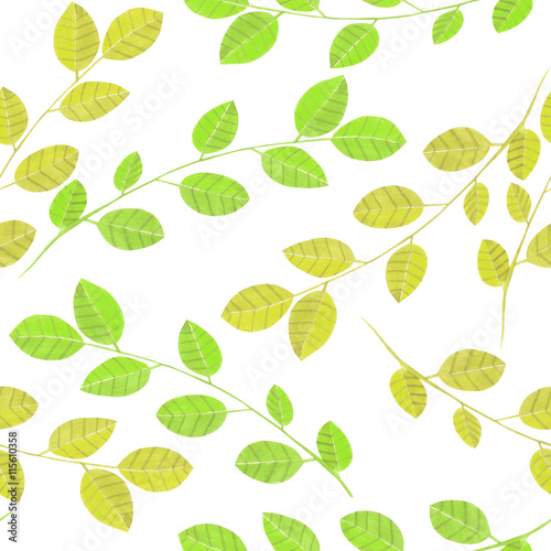 Seamless pattern with the watercolor branches with green leaves  hand painted isolated on a white background