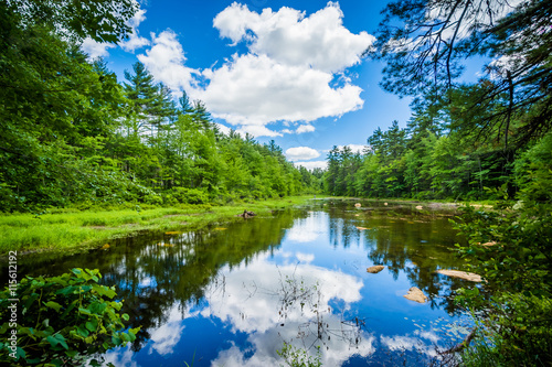 Small pond at Bear Brook State Park, New Hampshire. photo