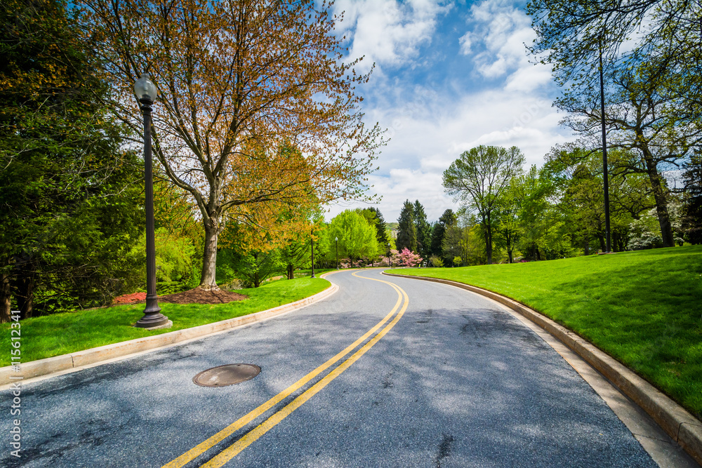Fototapeta premium Spring color along a road at John Hopkins at Mount Washington, i