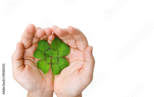 Vierblättriges Kleeblatt in der Hand