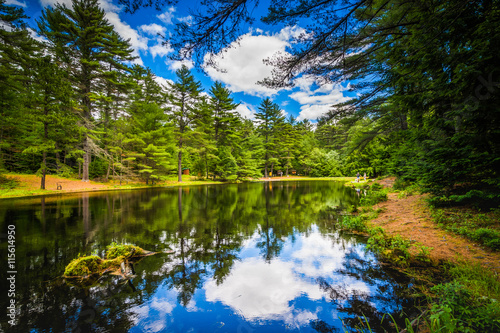 The Archery Pond at Bear Brook State Park, New Hampshire. photo