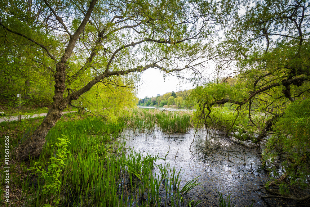 The Grenadier Pond, at High Park, in Toronto, Ontario.