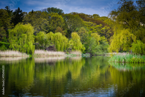 Photography The Grenadier Pond, at High Park, in Toronto, Ontario.
