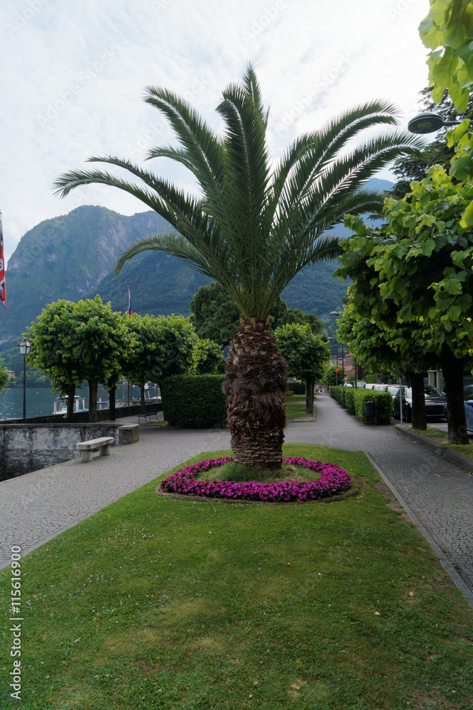 Beautiful path in Menaggio