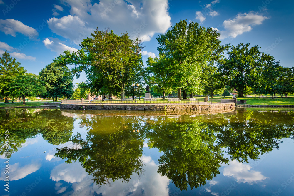 Fototapeta Lily Pond w Bushnell Park, w Hartford, Connecticut.