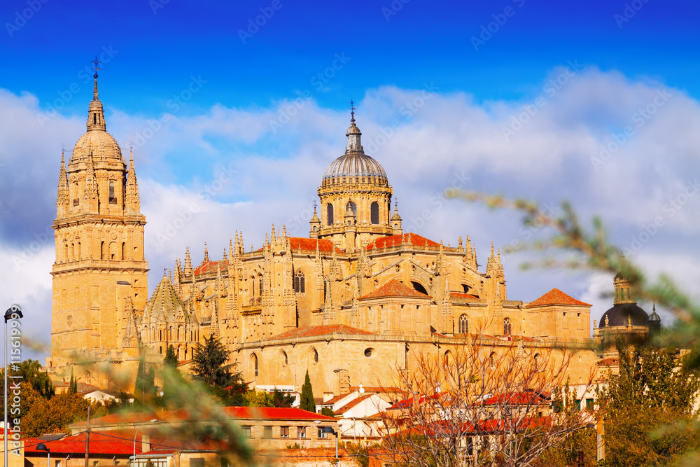  Salamanca Cathedral in autumn